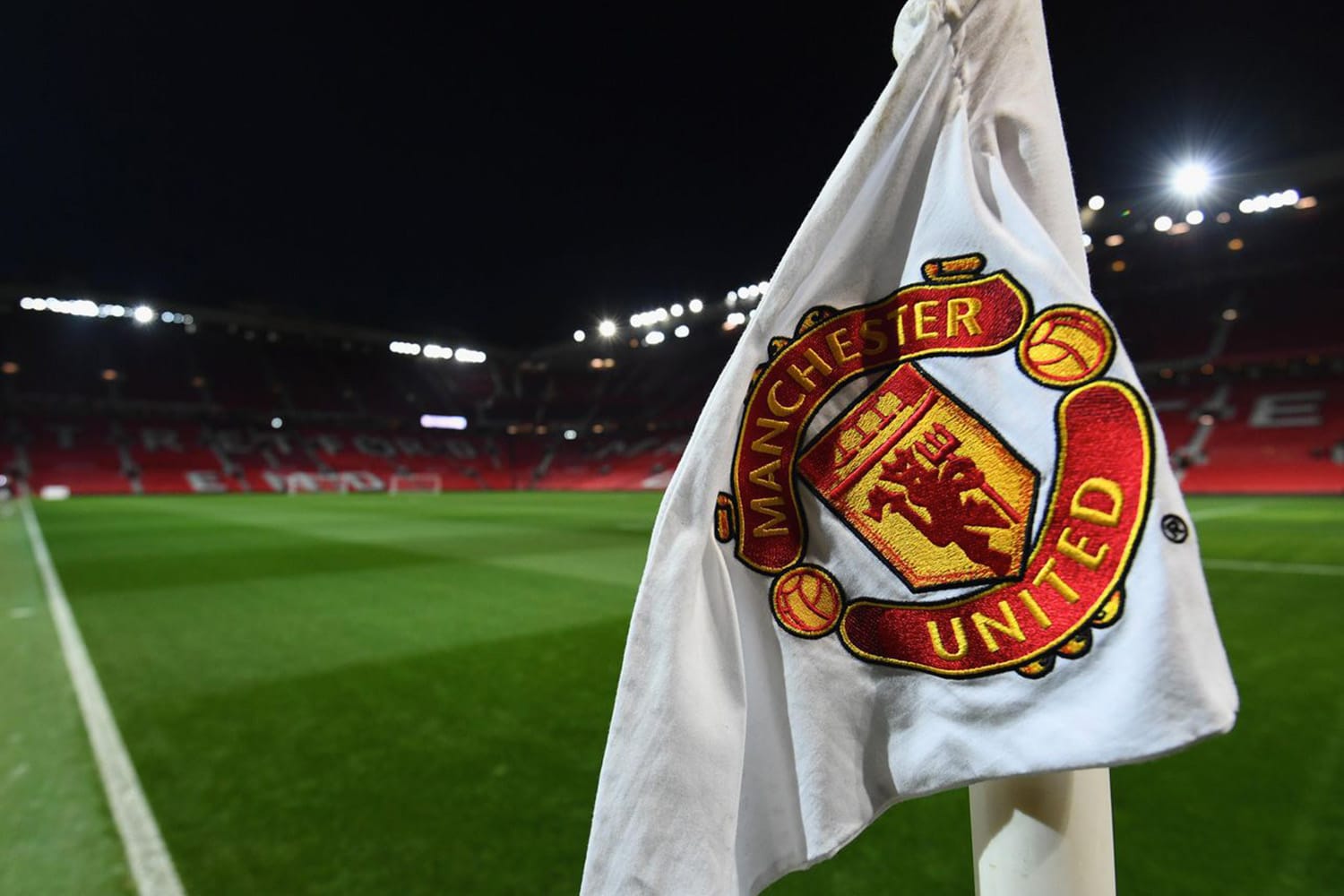 manu sale insights