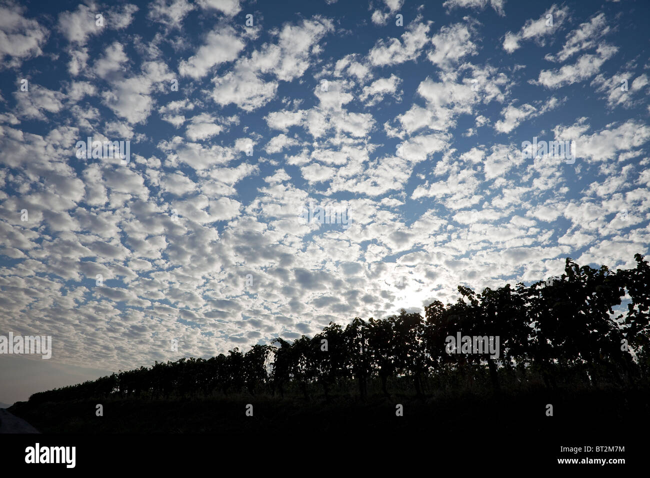 many clouds 0036