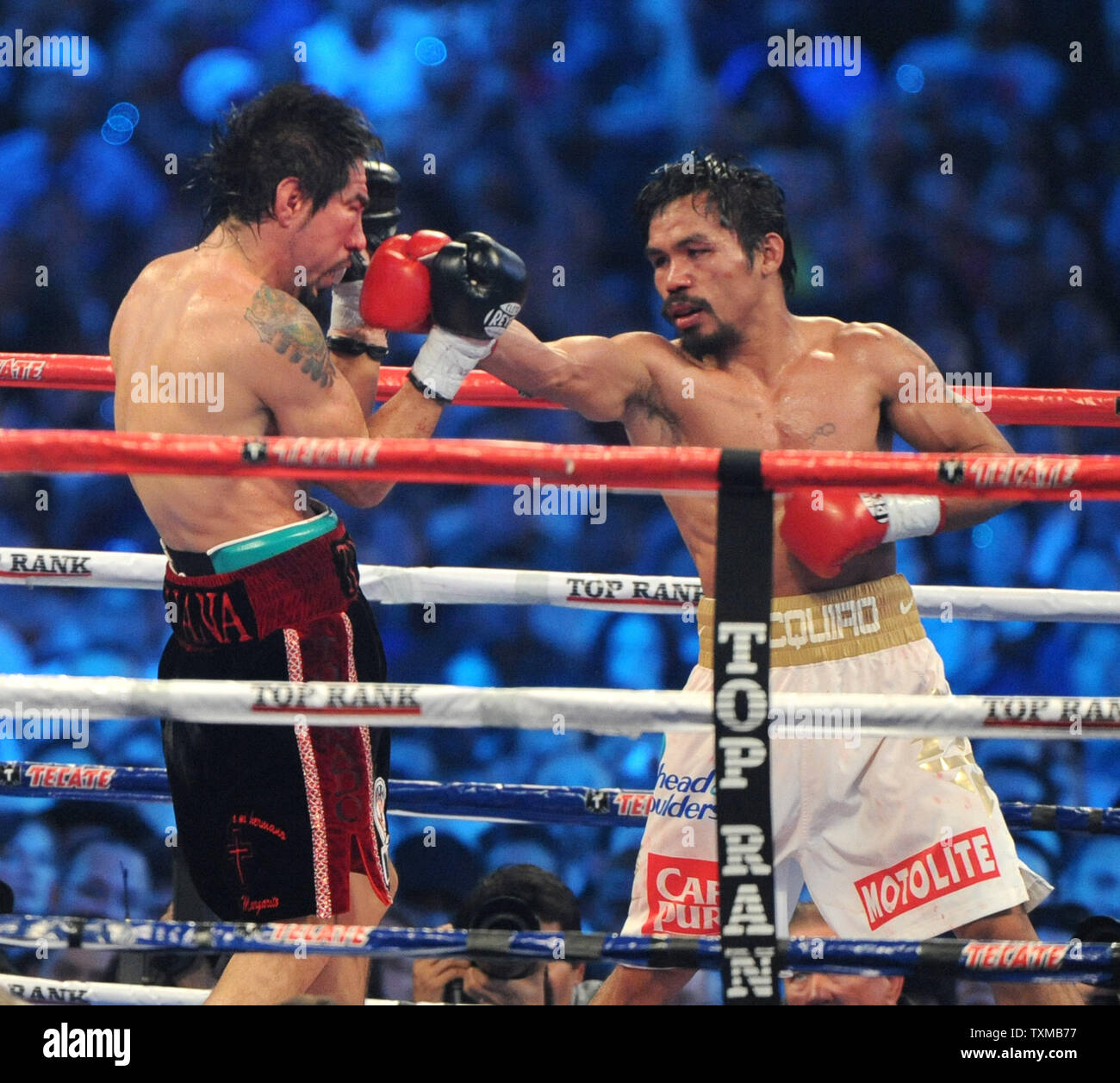 margarito vs pacquiao face 0036