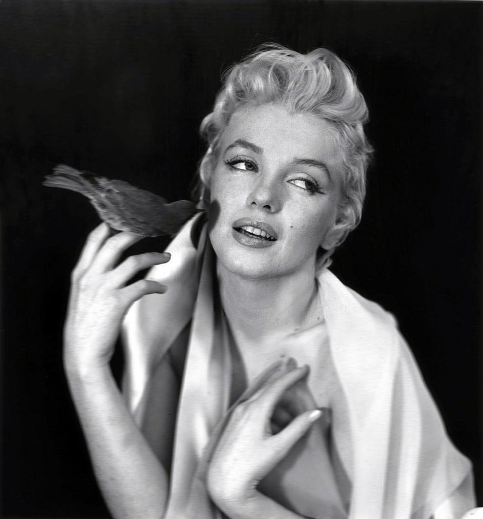 marilyn monroe hands 0029