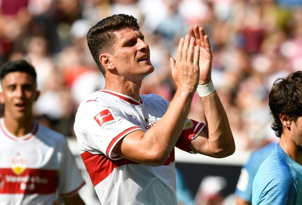 mario gomez number 0093