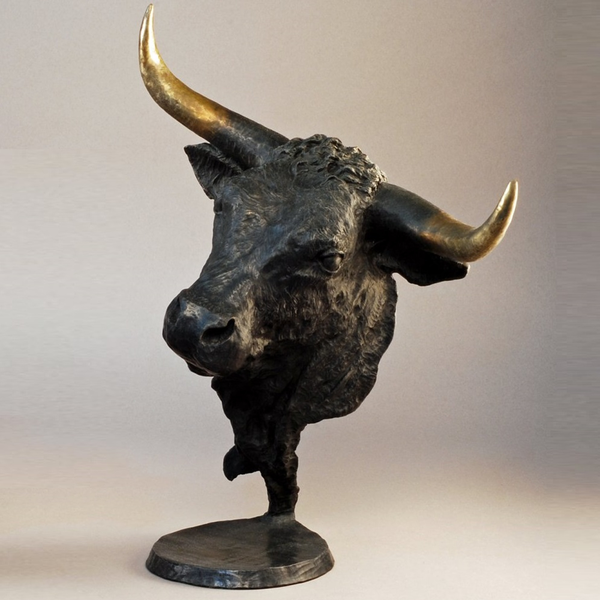 mark bull 0014