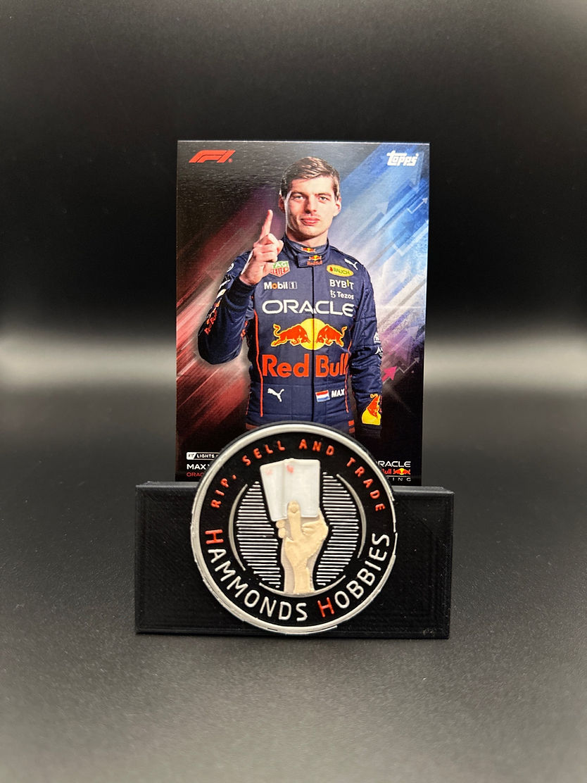max verstappen portrait 0041