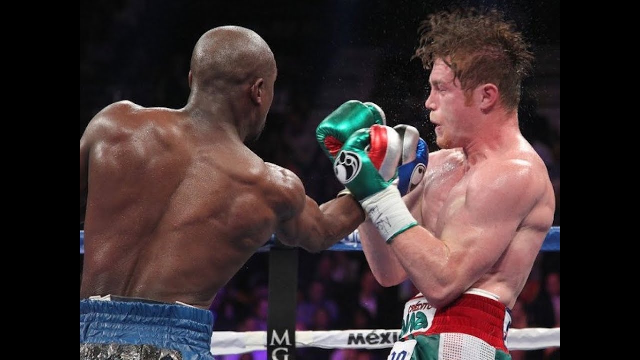 Mayweather Canelo highlights