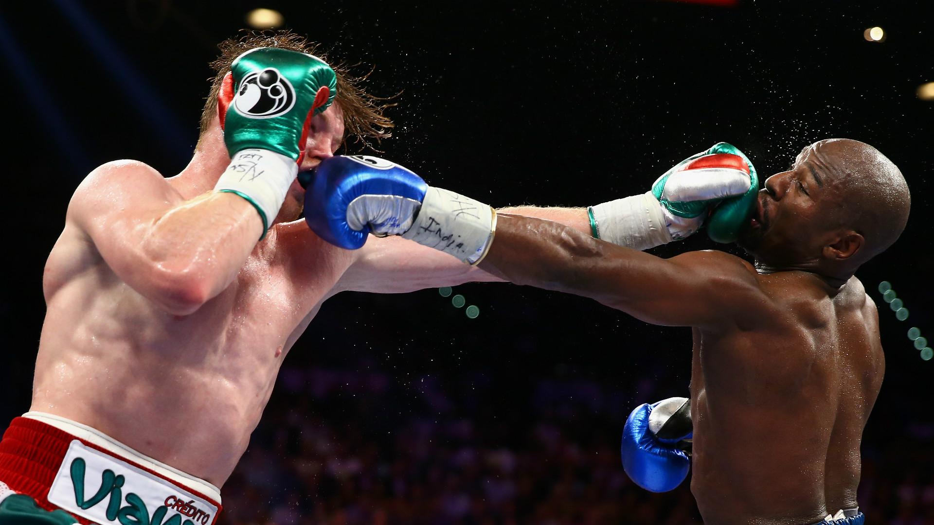Mayweather Canelo stats