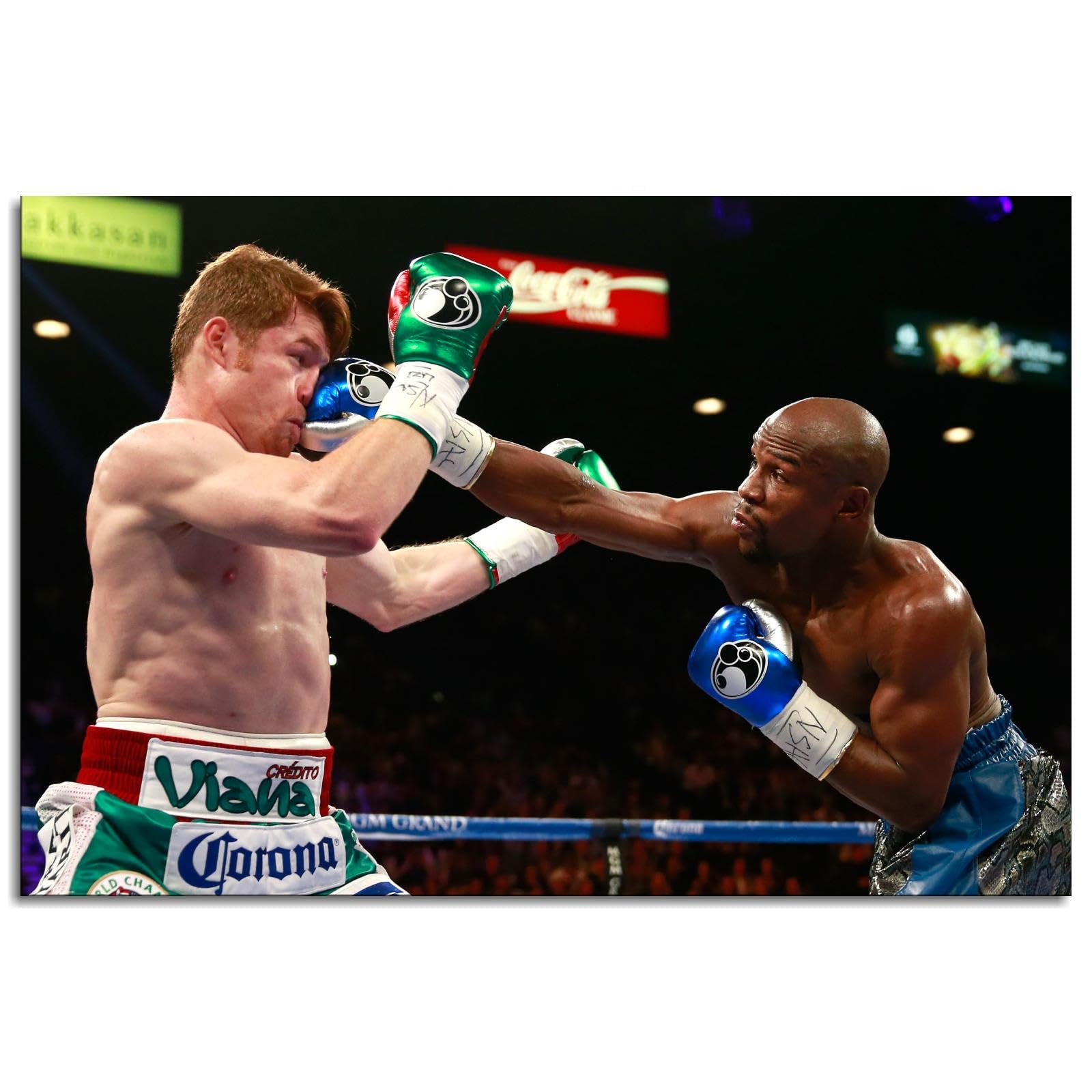 mayweather v canelo 0026