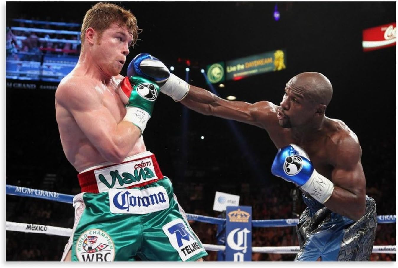 mayweather v canelo 0038
