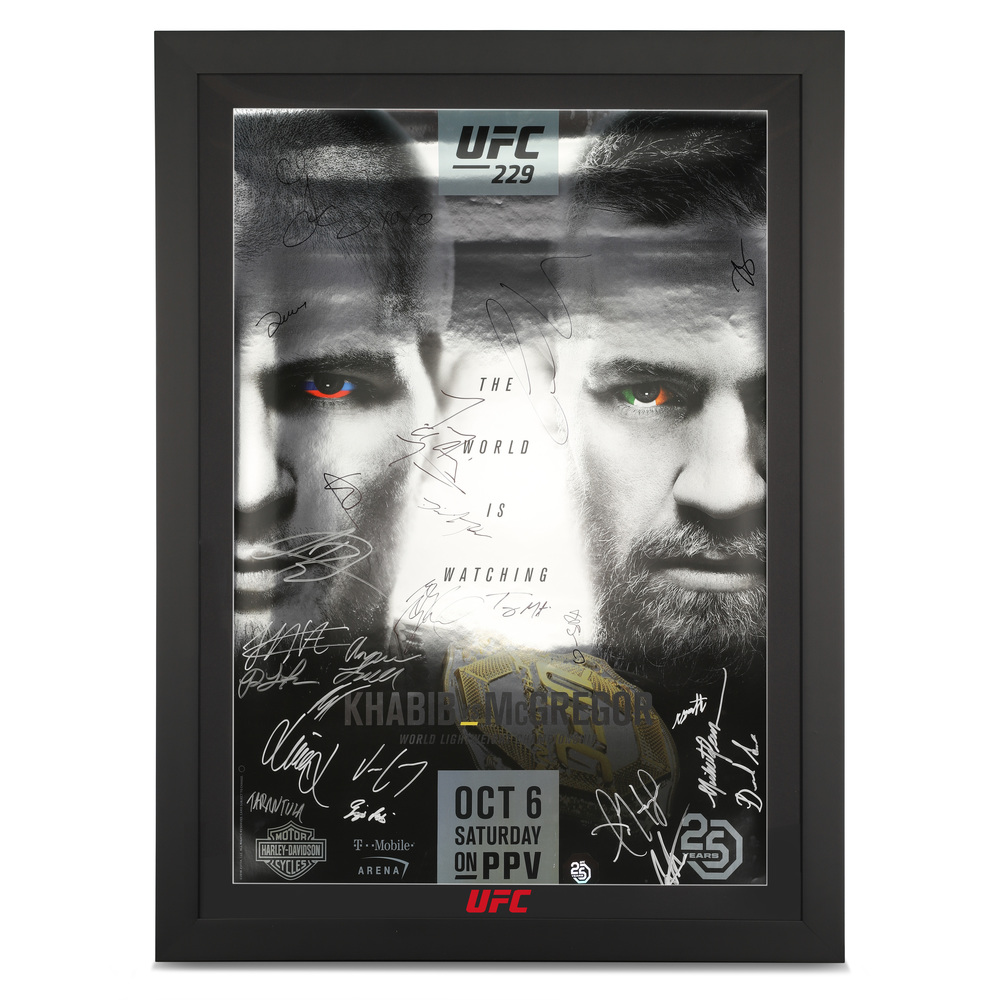 mcgregor vs khabib poster 0033