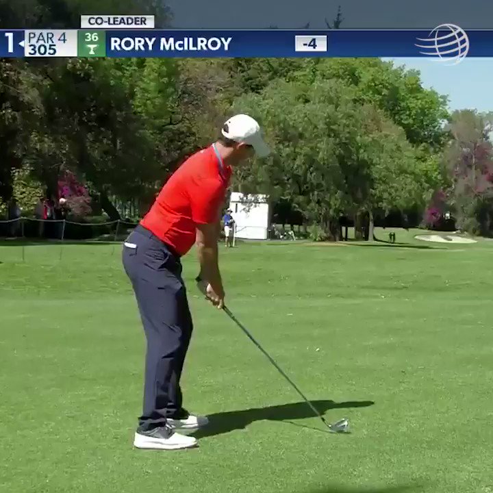 McIlroy iron shot tips