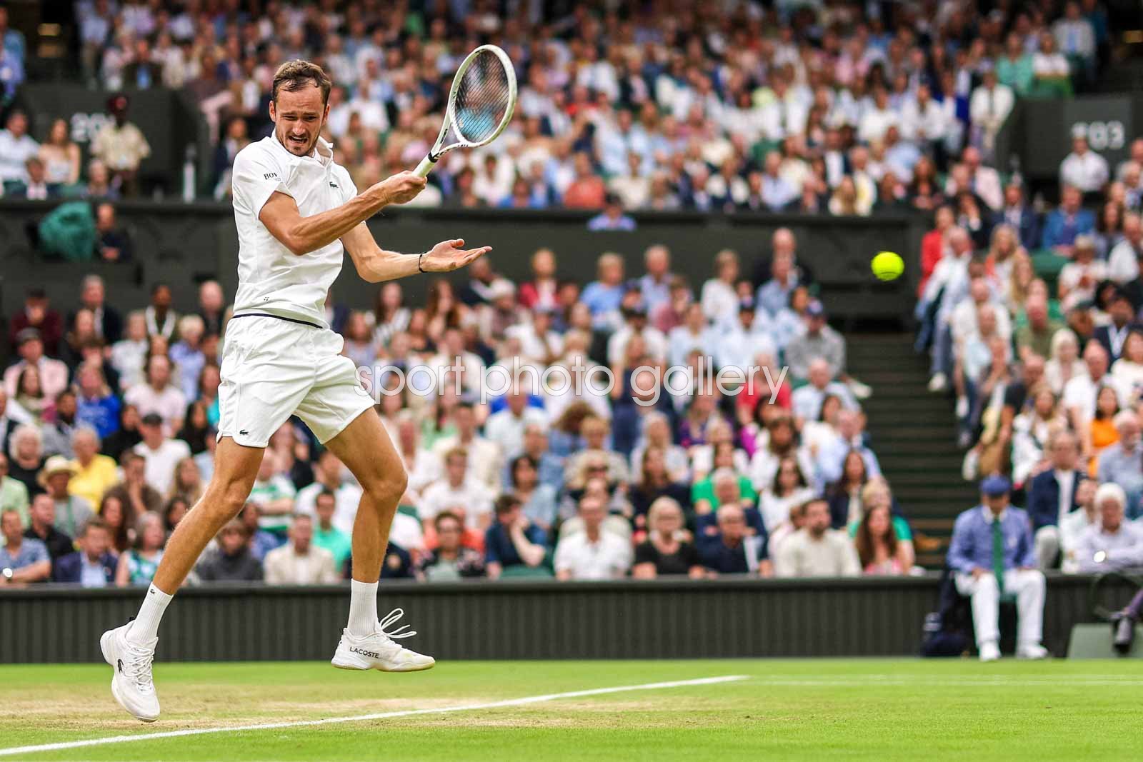 medvedev forehand 0044
