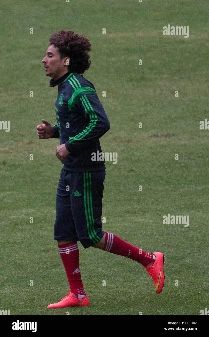 memo ochoa 2014 0053