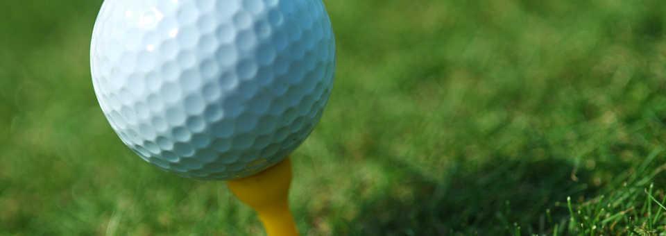 merrick golf course photos 0020
