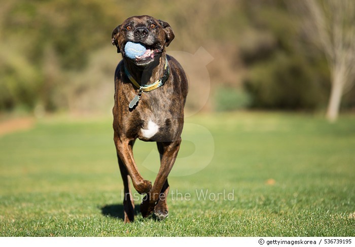 messi running with ball 0011