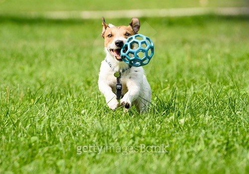 messi running with ball 0016