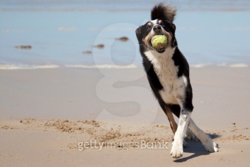 messi running with ball 0020