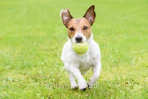 messi running with ball 0022