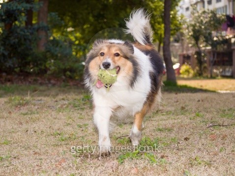 messi running with ball 0030