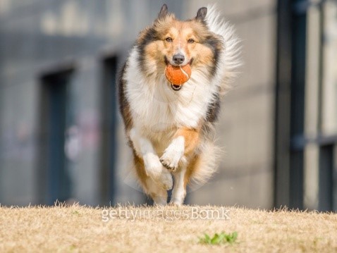 messi running with ball 0031