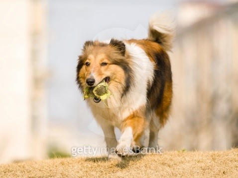 messi running with ball 0032