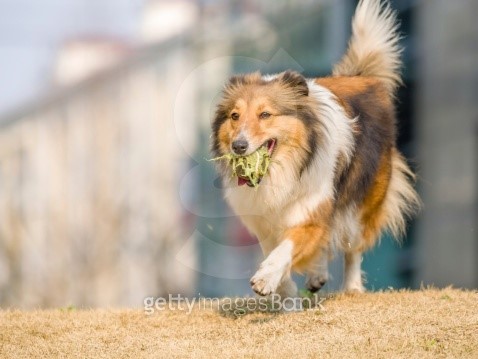 messi running with ball 0033