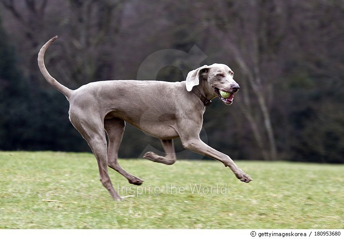 messi running with ball 0048