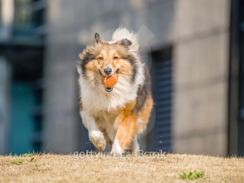 messi running with ball 0052
