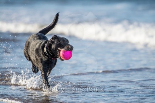 messi running with ball 0053