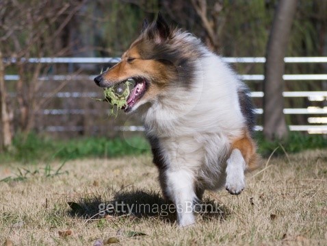 messi running with ball 0054