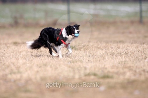 messi running with ball 0059
