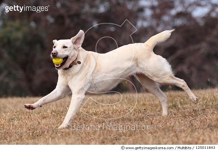 messi running with ball 0093