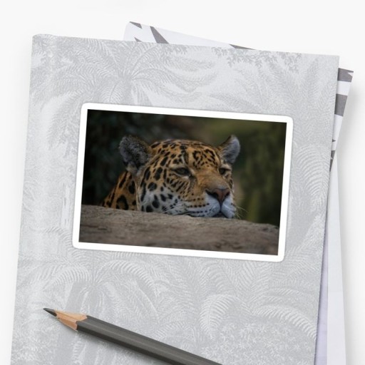 messi wall sticker 0058