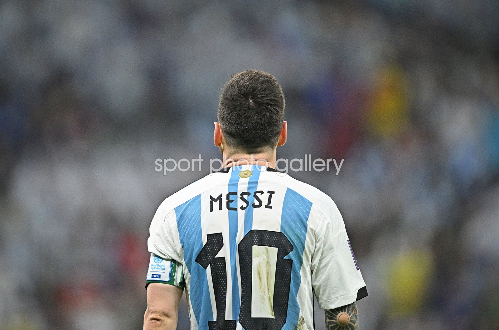 messi wallpaper argentina 2022 0033