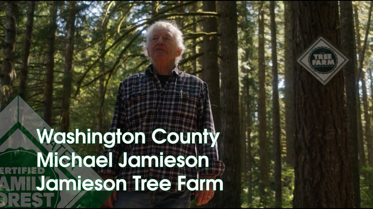 michael jamieson 0033