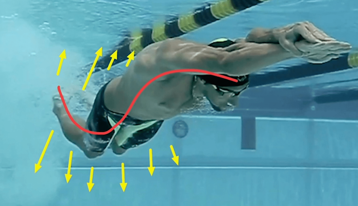 Michael Phelps butterfly training