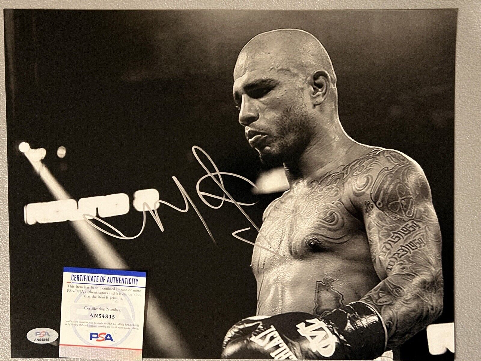 miguel cotto wallpaper 0010