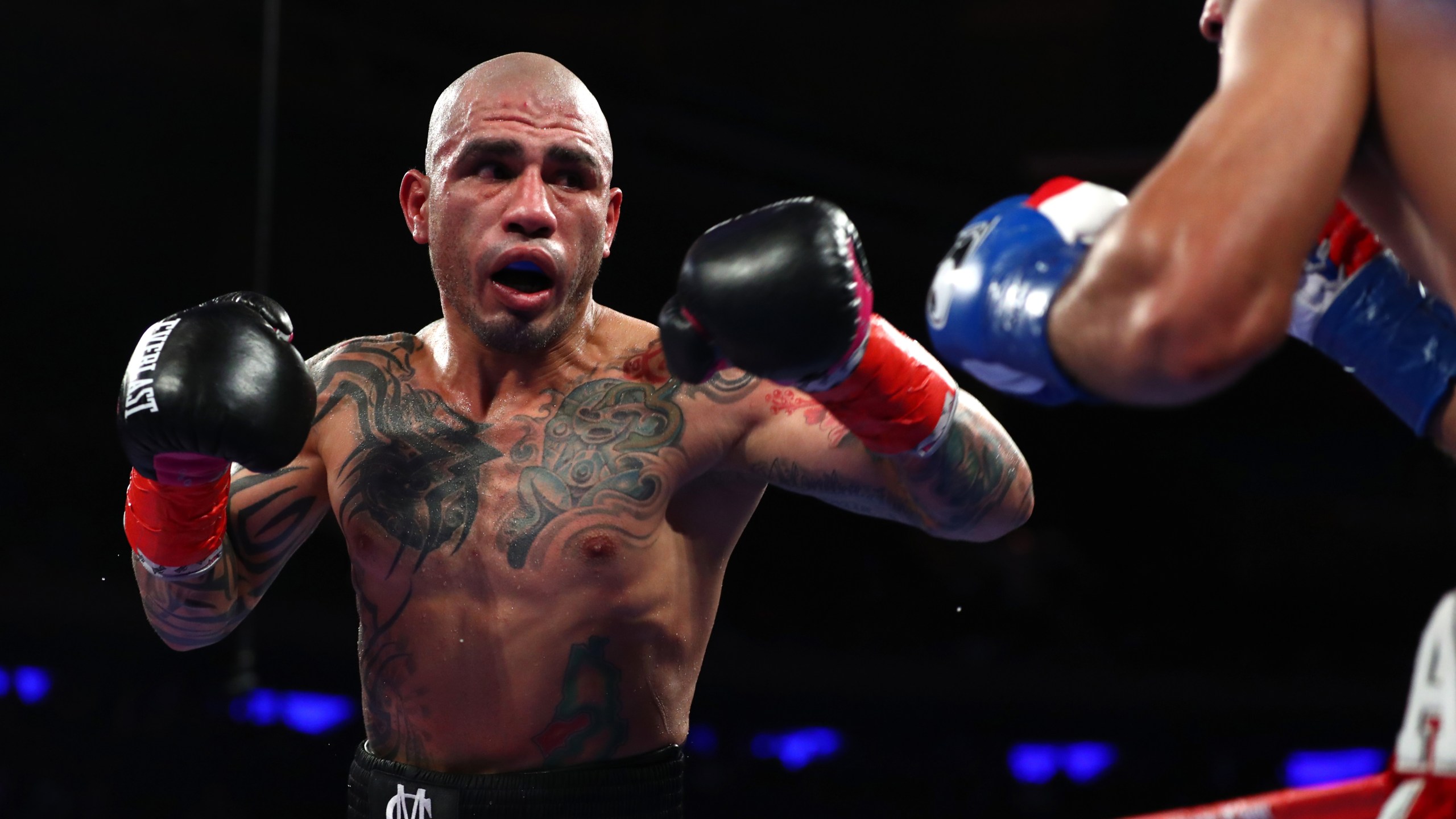 miguel cotto wallpaper 0014