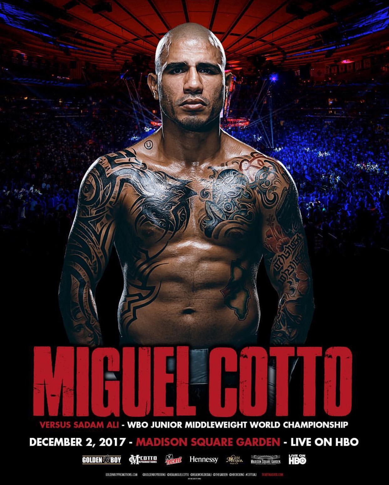 miguel cotto wallpaper 0017
