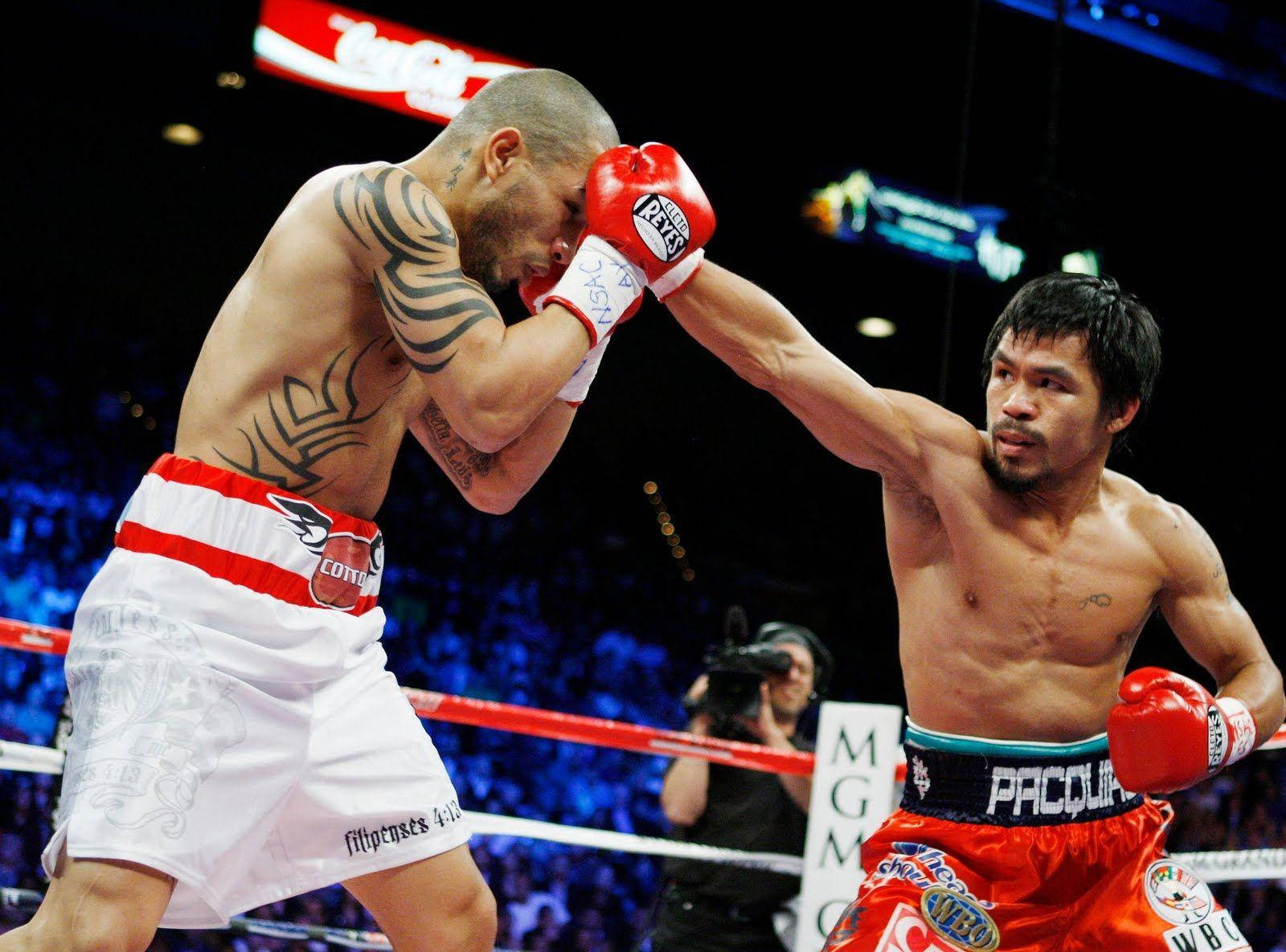 miguel cotto wallpaper 0019