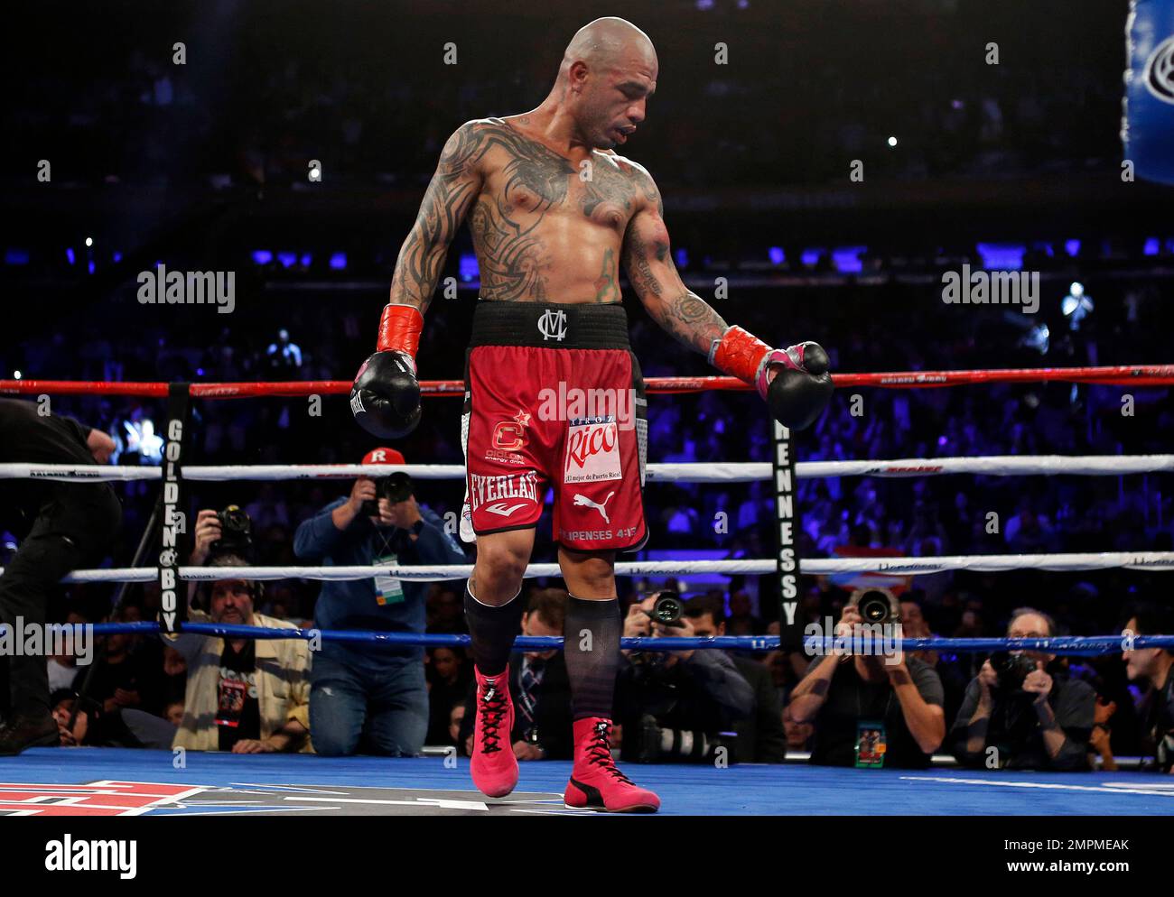 miguel cotto wallpaper 0024
