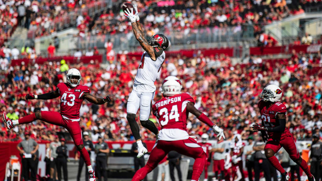 mike evans catch analysis