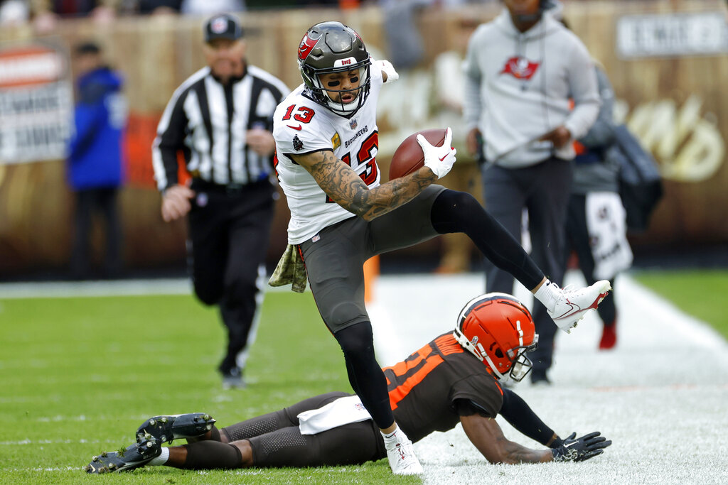 mike evans catch 0039