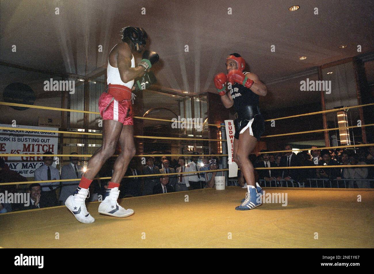 mike tyson and mitch green 0047