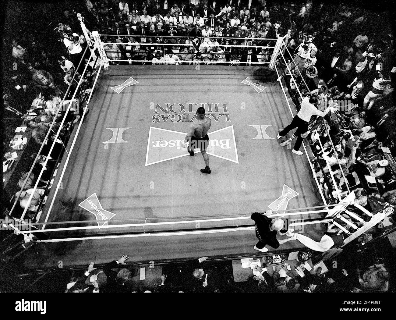 mike tyson black and white photo 0020