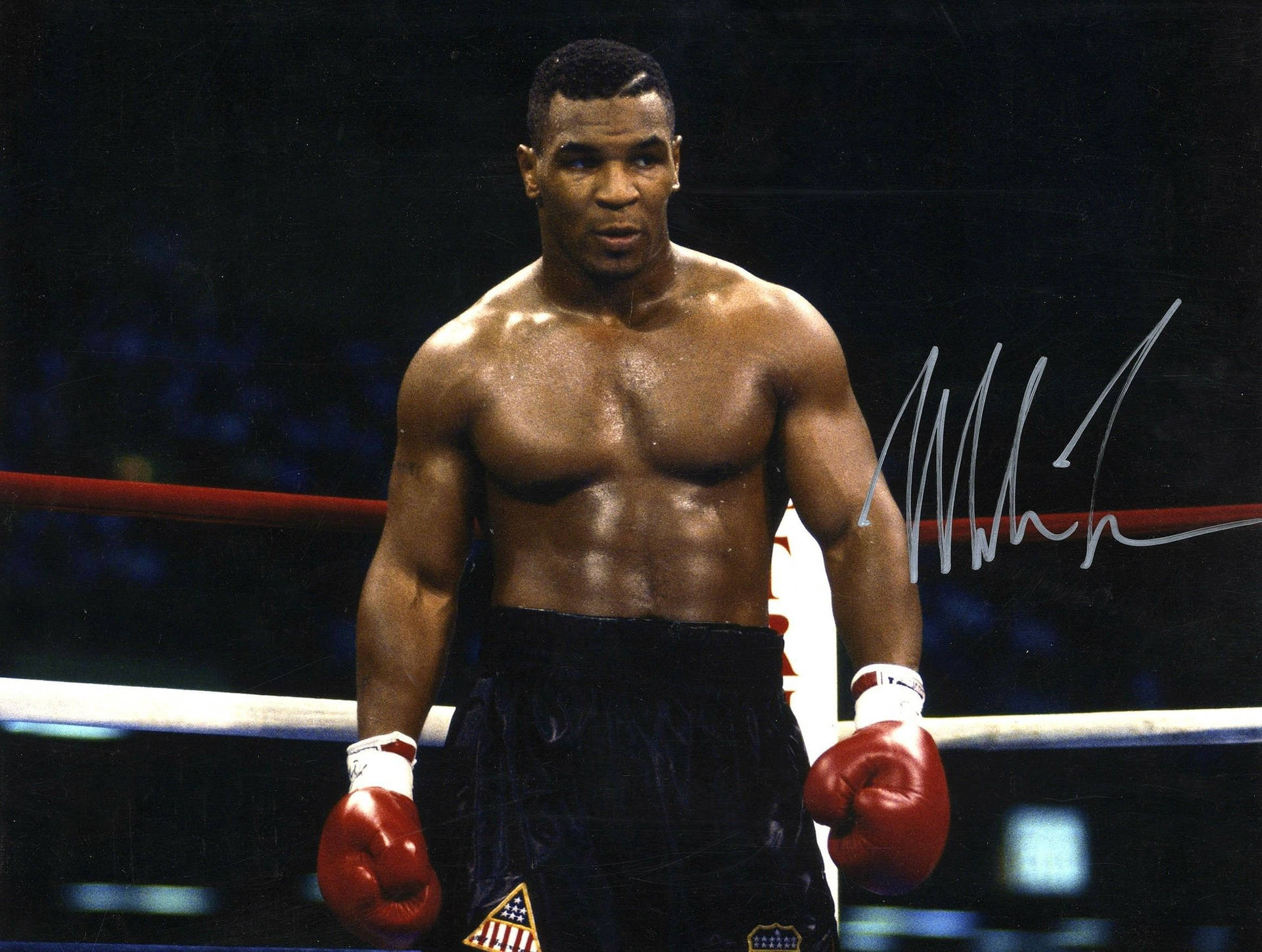 mike tyson pfp 0014