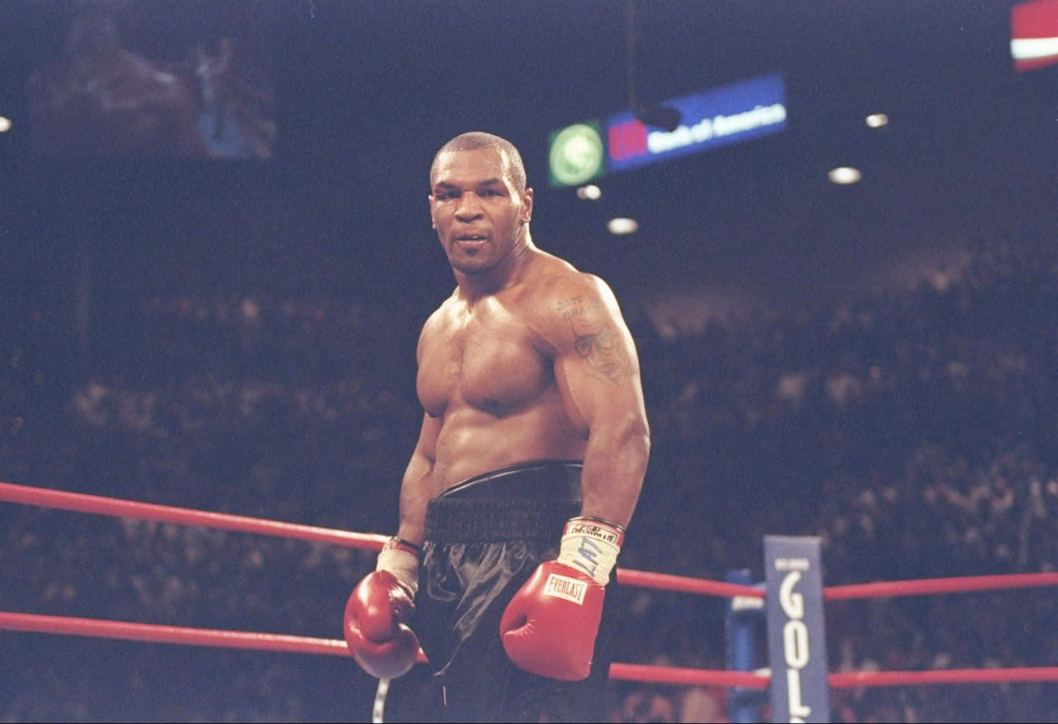 mike tyson pfp 0026