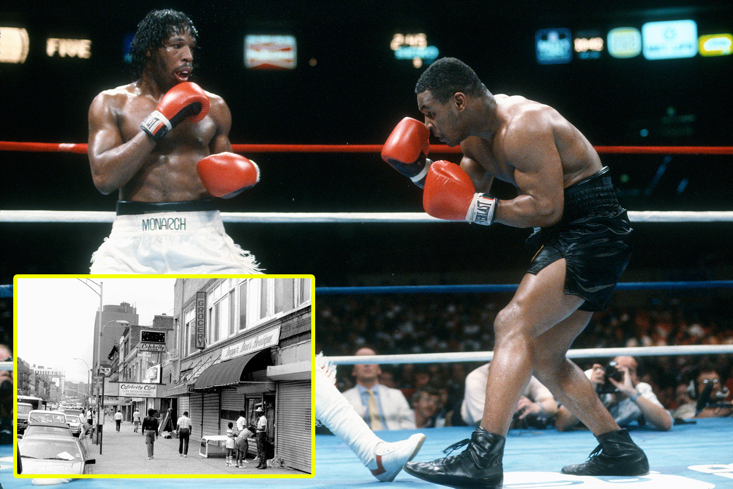 mitch boxer 0016