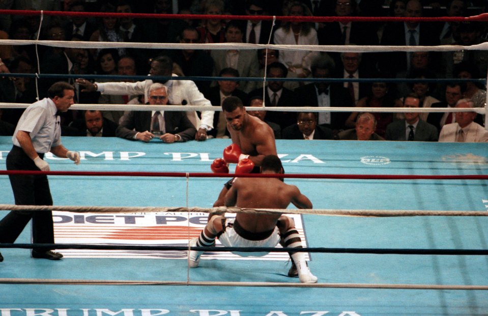 mitch boxer 0048