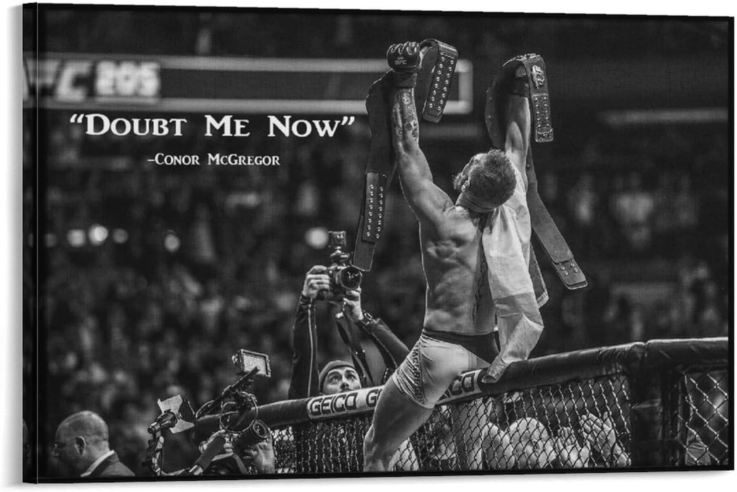 mma posters 0023