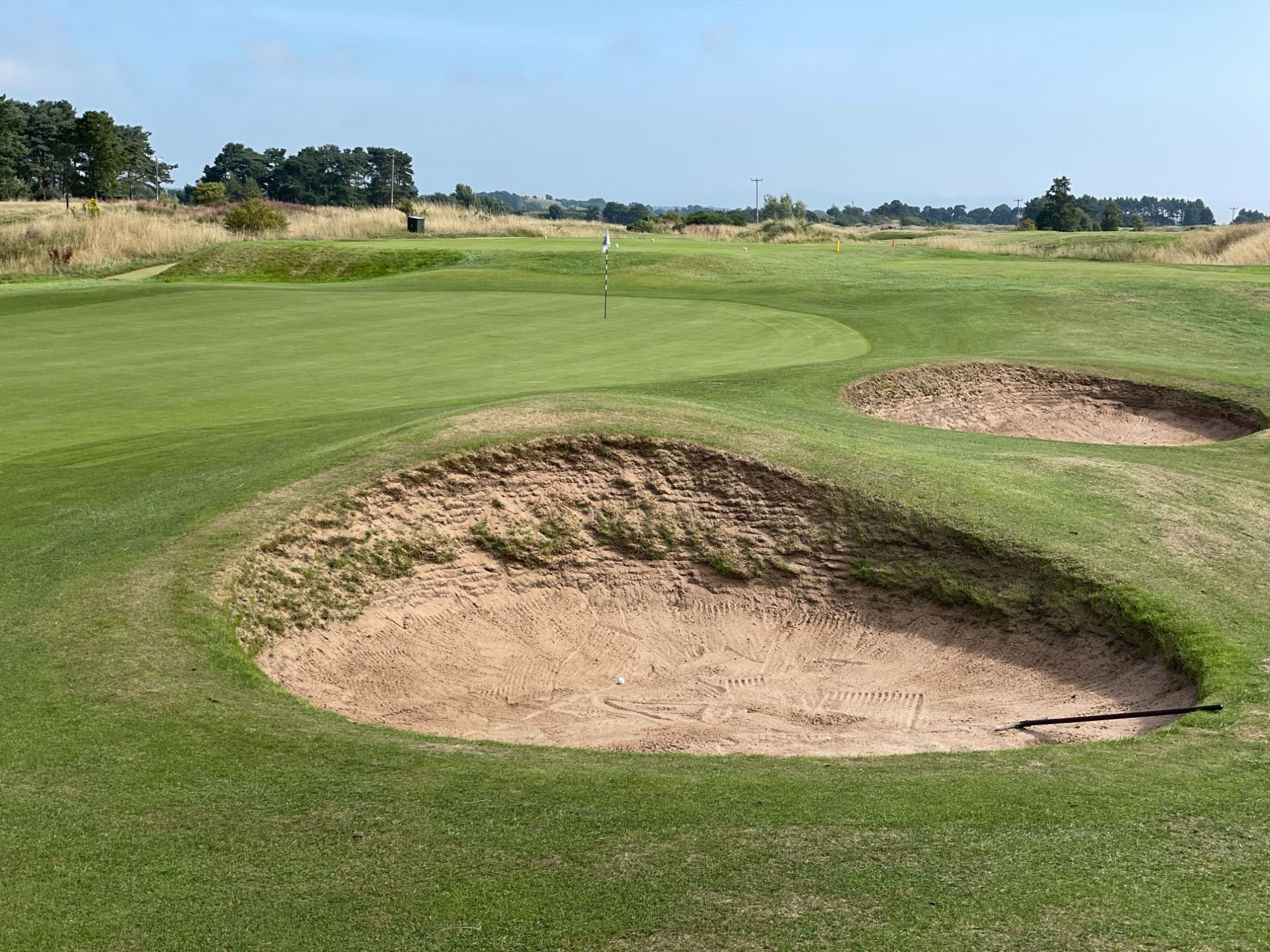monifieth golf club 0015