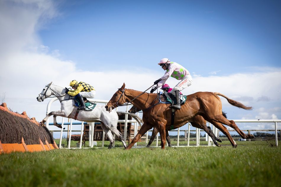 monkfish horse 0009